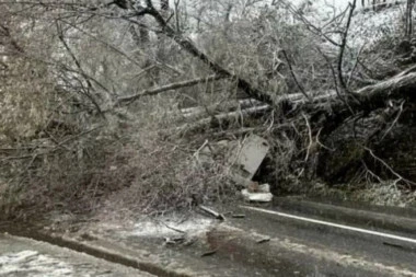 PRVI SNEG NAPRAVIO HAOS U CRNOJ GORI! Stablo se obrušilo na automobil, dve osobe POVREĐENE! (FOTO,VIDEO)