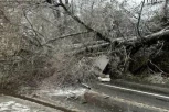 PRVI SNEG NAPRAVIO HAOS U CRNOJ GORI! Stablo se obrušilo na automobil, dve osobe POVREĐENE! (FOTO,VIDEO)