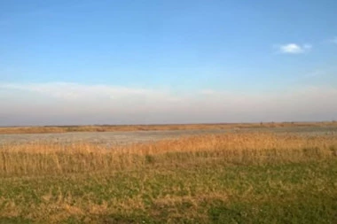 PEČENA SLATINA: Jedno od najznačajnijih prirodnih staništa ptica u Srbiji!