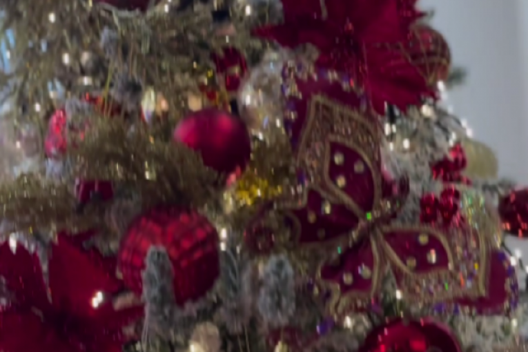 Viki Miljković Instagram