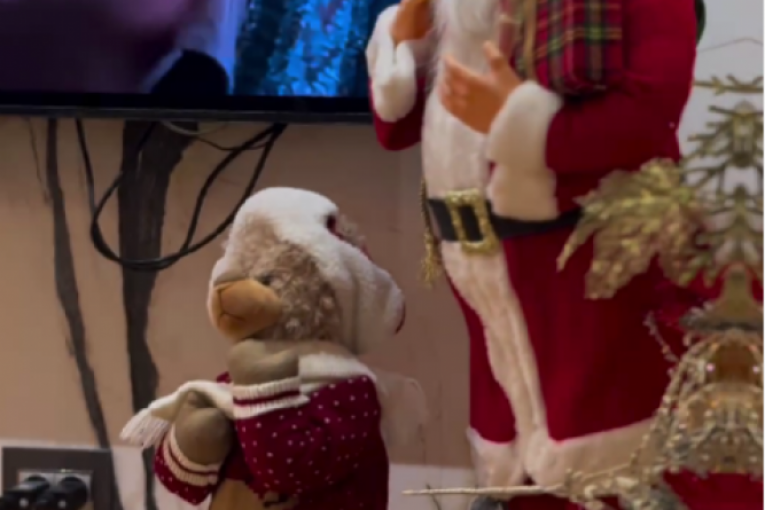 Viki Miljković Instagram