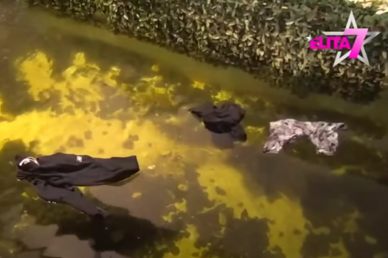 Miljana napravila haos zbog Zole i Lejdi Di