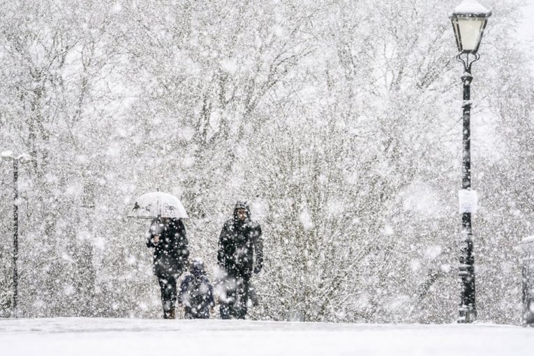 SNEG PARALISAO SLOVENIJU: Snežna oluja izazvala PREKID SAOBRAĆAJA, drveće padalo na dalekovode, domaćinstva ostala bez struje