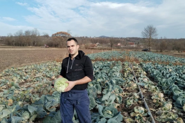 MLADI POVRTAR UROŠ KUPUS KUPCIMA DOVOZI NA KUĆNI PRAG, ZAHTEVI SU RAZNI: Od veličine do boje glavice, ali moramo se truditi oko svojih mušterija!