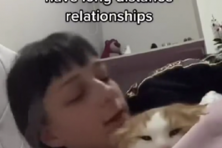 Objava Aleks Nikolić