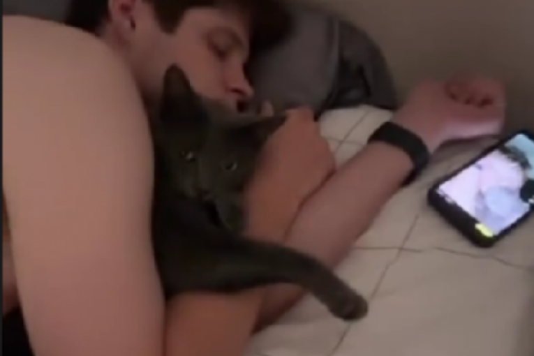 Objava Aleks Nikolić