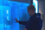 UPORNO JE PROVOCIRAO AJKULU U AKVARIJUMU: Njen odgovor bio je brutalan a njemu je pozlilo od straha! (VIDEO)