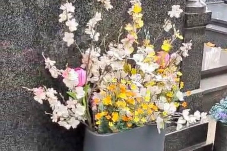 Ksenija Pajčin, grob