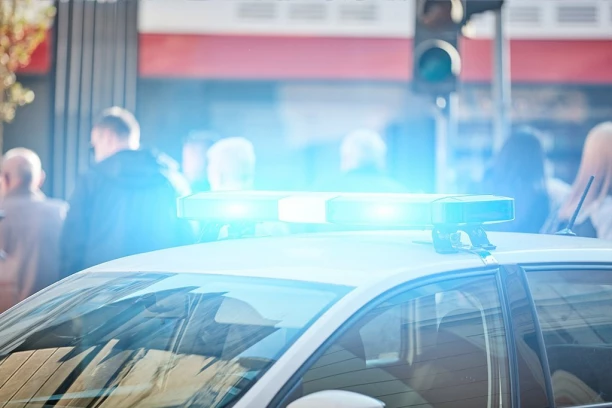 TEŠKA KRAĐA! P.L. harao po Zemunu i Novom Beogradu, BAHATO TRGAO TORBE iz ruku!