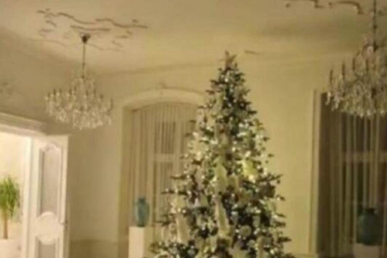 Dragana Mirković Instagram