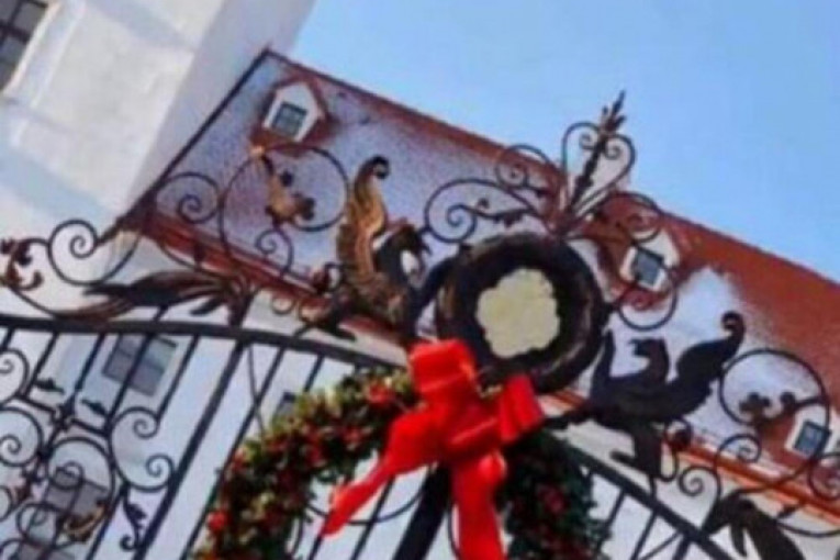 Dragana Mirković Instagram