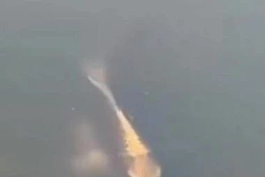 JEZIVO STVORENJE IZ JEZERA TERA STRAH U KOSTI! Kada je izronila iz vode, ZAČUO se misteriozni glas!