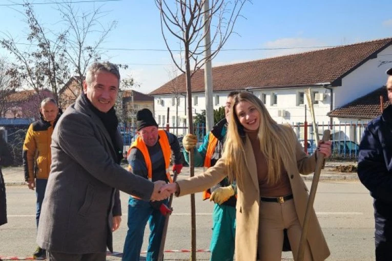 Donacija Millennium Team-a Gradu Vranju:  Novi drvored za Vranje