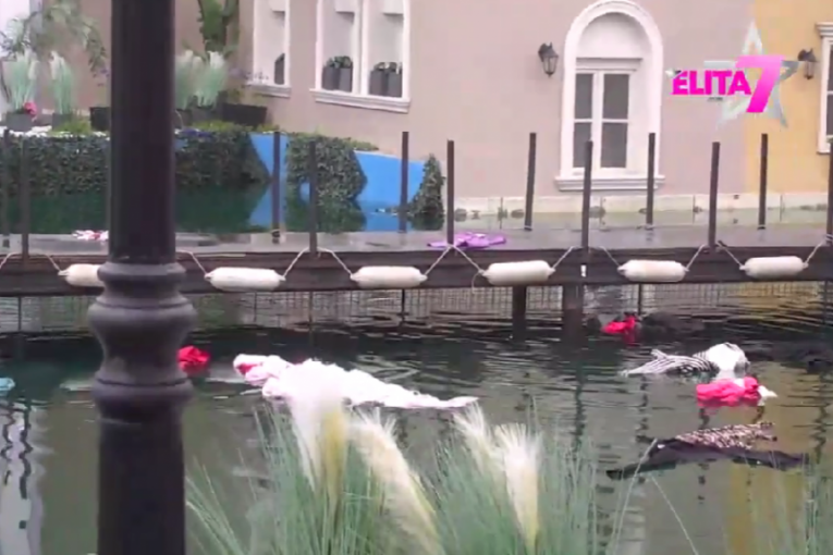 Sukob Miljane i Zole