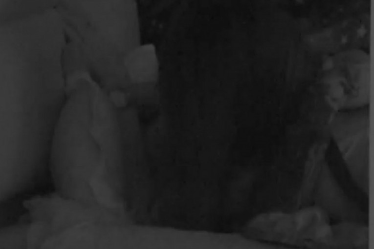 Nenad Aleksić Ša i Miona Jovanović vrela akcija Elita