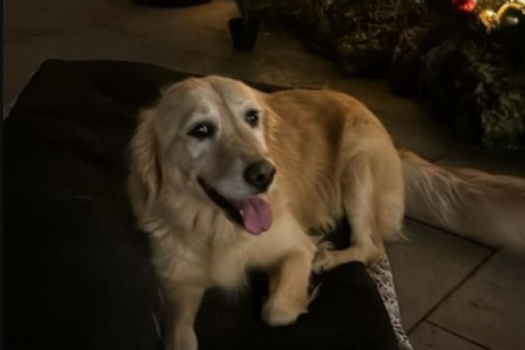 Milica Mitrović pokazala detalje luks vile