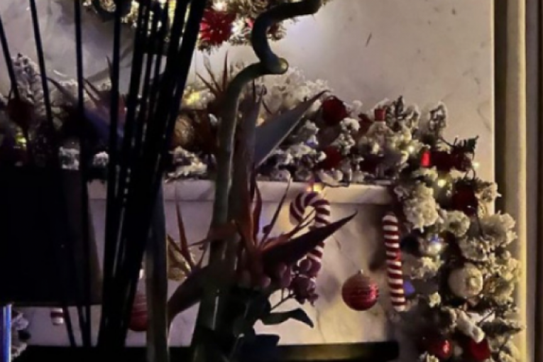 Milica Mitrović pokazala detalje luks vile