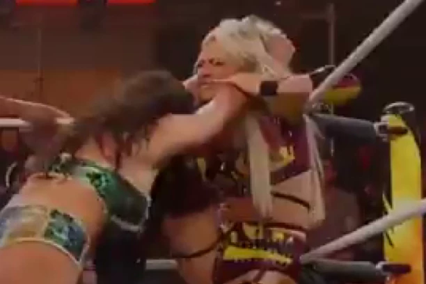 PA, OVO JE HIT! Devojka Bruna Kabokla žestokim UDARCEM skinula brushalter protivnici! Sevnule bradavice! (VIDEO)