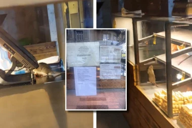 POSLE UŽASAVAJUĆEG PRIZORA, BRŽE BOLJE ZATVORILI PEKARU! U centru Beograda čitava družina štetočina šetka po pecivu - zgrozili sve pa se još i pravdali potrošačima! (FOTO)
