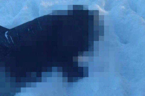 UKRAJINSKI IZDAJNIK UBIJEN U KANTRI KLUBU BLIZU MOSKVE: Snimci s mesta zločina otkrivaju horor!