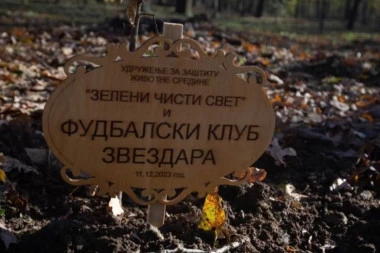 DRUŠTVENA ODGOVORNOST: "Bulke" se priključile akciji - 100 sadnica hrasta u Zvezdarskoj šumi!