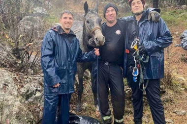 JEDVA GA IZVUKLI! KONJ UPAO U PROVALIJU DUBOKU ŠEST METARA! Spasioci iz Podgorice dva dana muku mučili kako bi ga spasli!