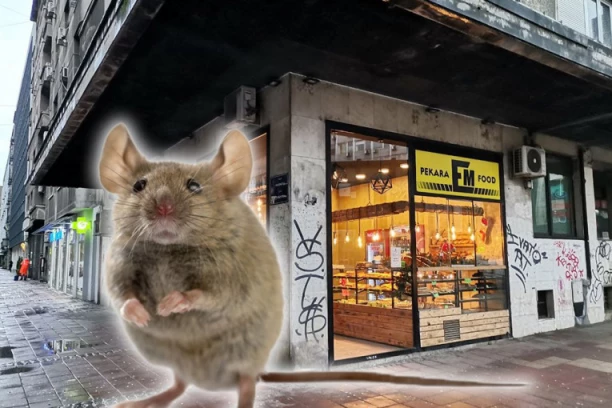 IZVOLITE NA PECIVO KOJE SU GRICKALI PACOVI! Pekara Em ponovo OTVORENA nakon groznog snimka glodara koji se goste u njihovom lokalu! (FOTO)