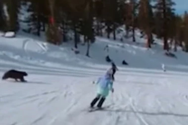 JURIO KA MAMI! Skijaš za dlaku izbegao sudar sa medvedom na stazi! NEVEROVATNA SCENA! (VIDEO)