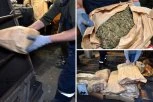 OVAKO JE UNIŠTENO 1,4 TONE DROGE U OBRENOVCU: Policija zaplenila ogromne količine! (FOTO+VIDEO)