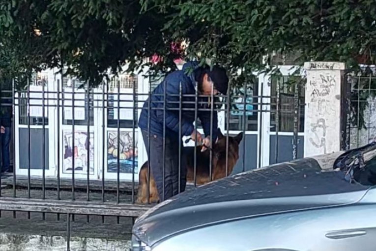 Jovan Memedović stiže na glasanje, 6. deo