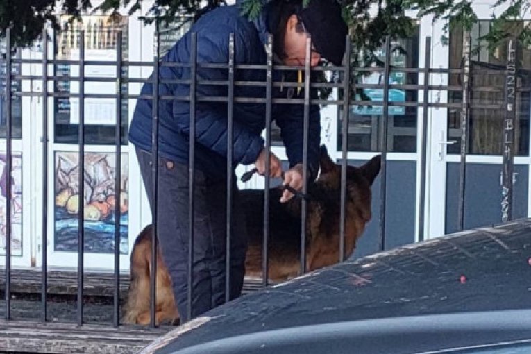 Jovan Memedović stiže na glasanje, 5. deo