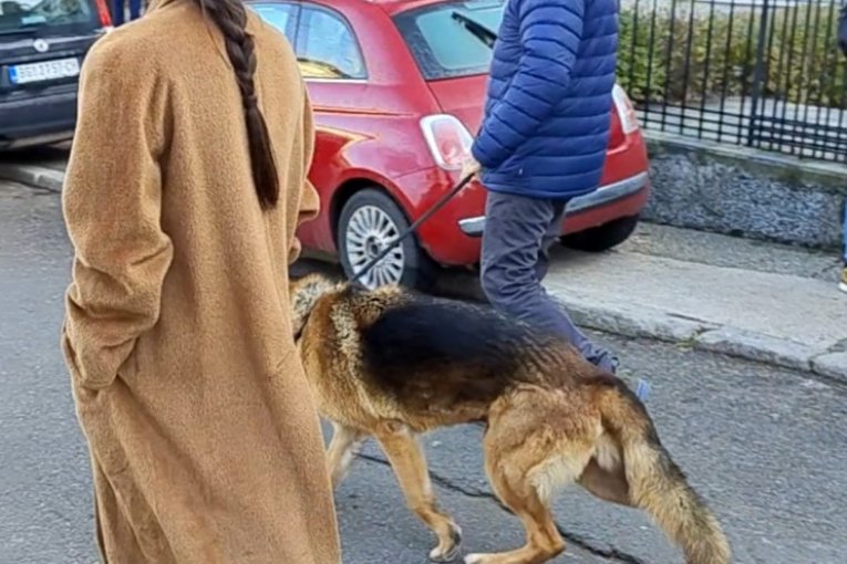 Jovan Memedović stiže na glasanje, 2. deo