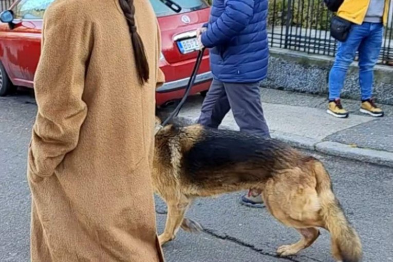 Jovan Memedović stiže na glasanje, 1. deo