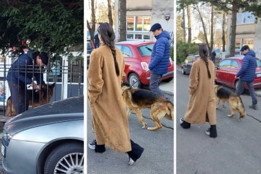 MEMEDOVIĆ STIGAO NA GLASANJE: Svi gledali u njegovog PSA - evo šta je uradio pre ulaska na biračko mesto! (PAPARACO)