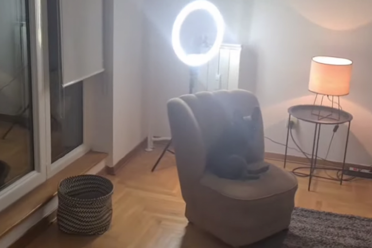 Ana Ćurčić, novi stan