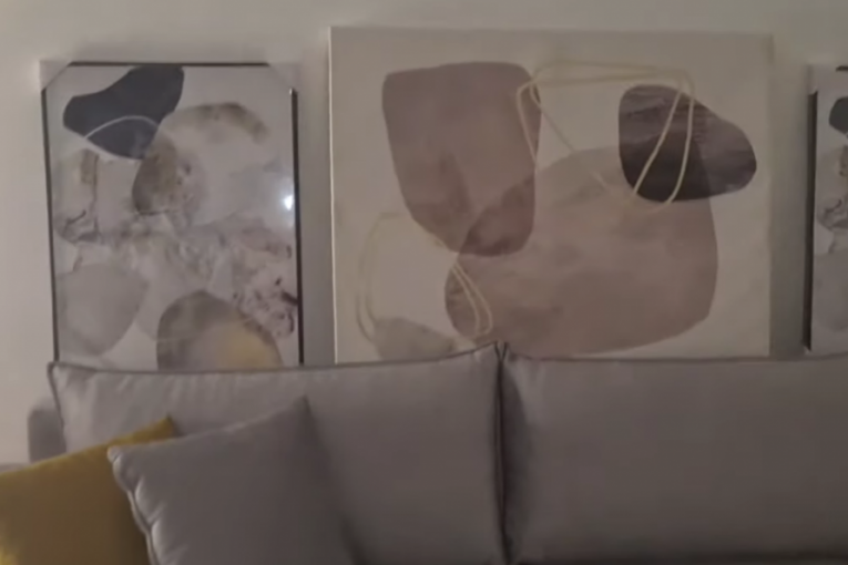 Ana Ćurčić, novi stan