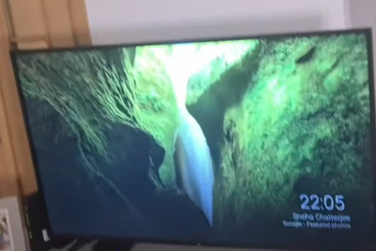 Ana Ćurčić, novi stan