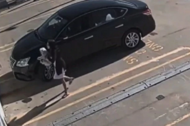 UŽAS NAD UŽASIMA: Vlasnica se iznervirala, pa sa krova BACILA PSA na ulicu! Princeza nije izdržala, a OVAKVU KAZNU žena sigurno nije očekivala