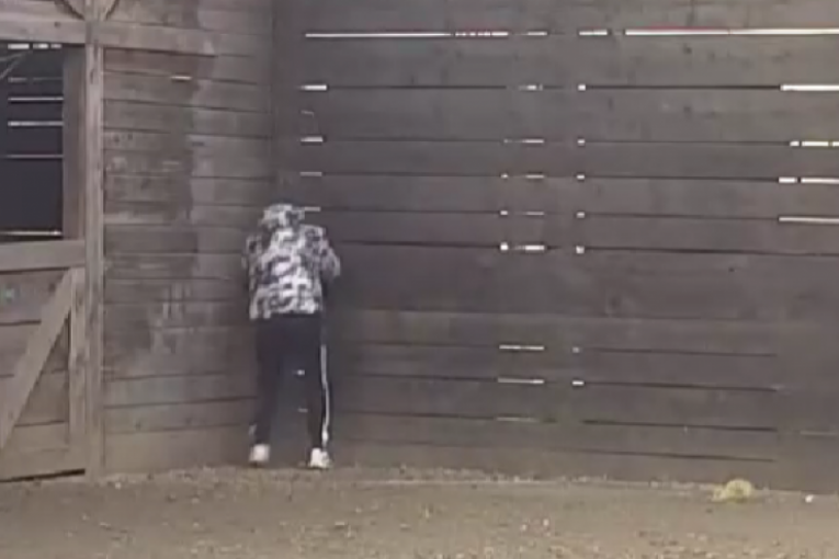 Nenad Aleksić Sha Elita