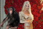 MILICA KEMEZ DOBILA MAJMUNA OD BORE: Santana šokirao verenicu za rođendan, zauzvrat tražio OVO! (GALERIJA)