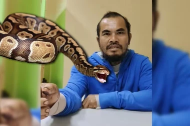 STRAVA I UŽAS: FILIPINAC U RALJAMA ZVERI: Hrabri motociklista (48) stao da pomeri gigantskog pitona sa puta, a onda je usledio PAKAO! (FOTO)