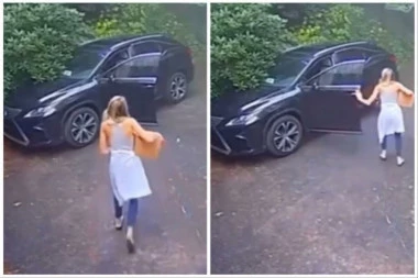 NEOBIČAN SUSRET NA PUTU: Žena je pretrnula od straha kad je ugledala stvorenje koje se nalazilo u njenim kolima! (FOTO+VIDEO)