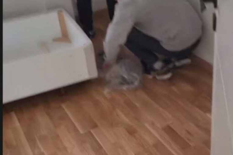 David Dragojević Instagram