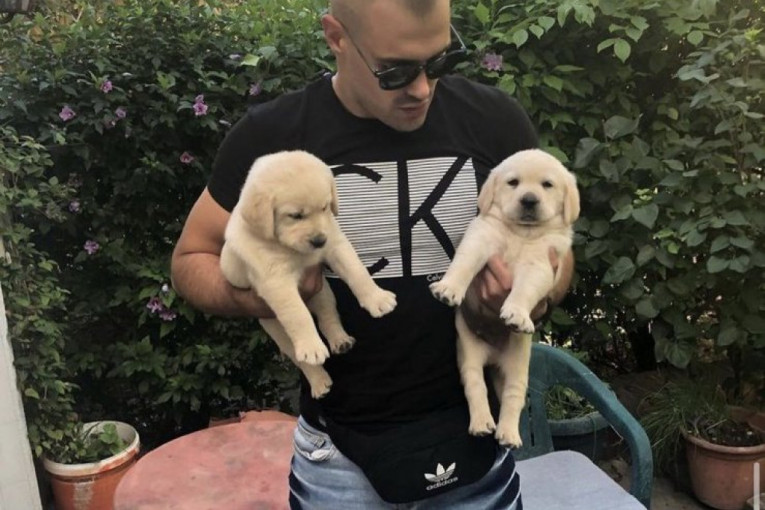 Uroš Elita vanredno ubacivanje