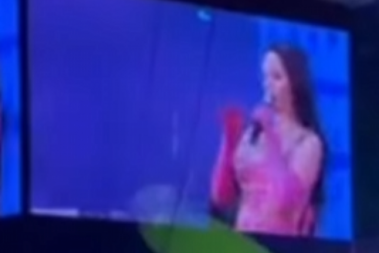 Milicu Pavlović gadjali na koncertu u Areni