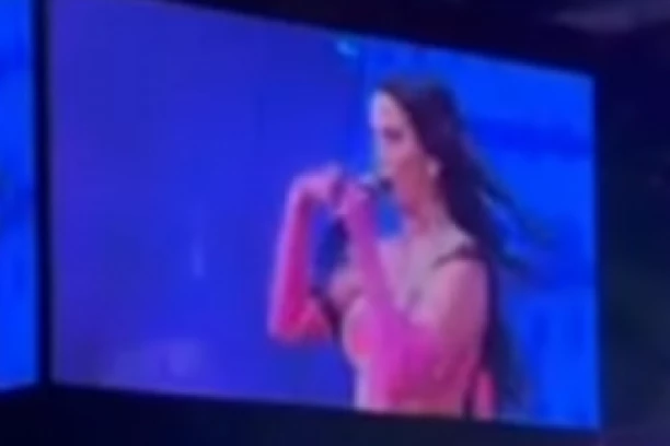 GAĐALI MILICU PAVLOVIĆ NA KONCERTU: Pogledajte šok snimak incidenta u Areni (VIDEO)