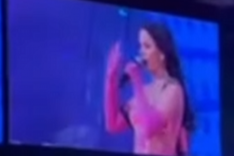 Milicu Pavlović gadjali na koncertu u Areni