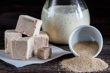 KAD SE KORISTI SVEŽ, A KAD SUVI KVASAC? Profesionalni pekari otkrili tajnu, testo će uvek narasti ako se pridržavate ovog pravila (FOTO)