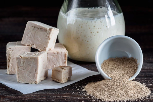 KAD SE KORISTI SVEŽ, A KAD SUVI KVASAC? Profesionalni pekari otkrili tajnu, testo će uvek narasti ako se pridržavate ovog pravila (FOTO)