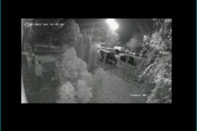 Vladimir Tomović Instagram